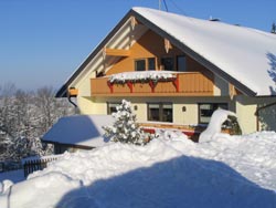 Gästehaus Birkenhof im Winter